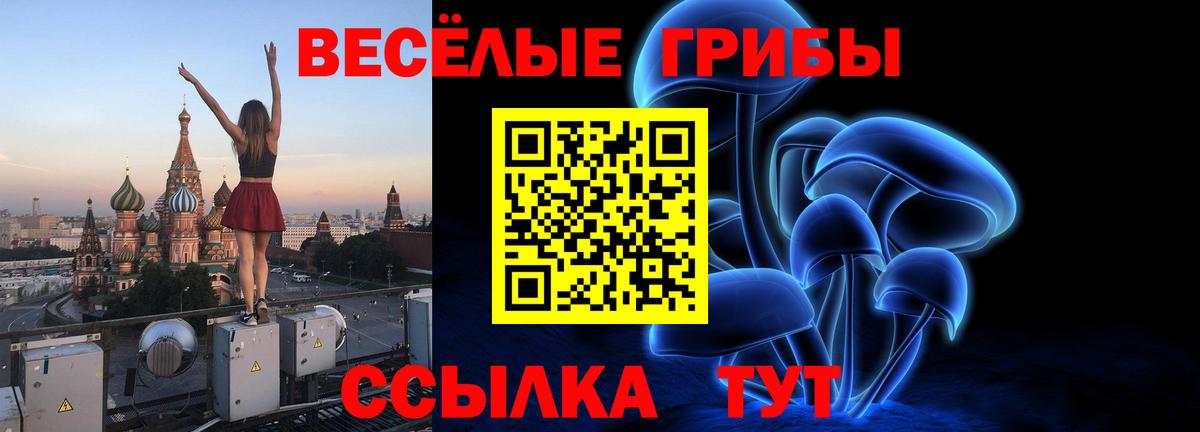 Галлюциногенные грибы Psilocybine cubensis  Вход с VPN  Стрежевой  Галлюциногенные грибы Psilocybine cubensis 
